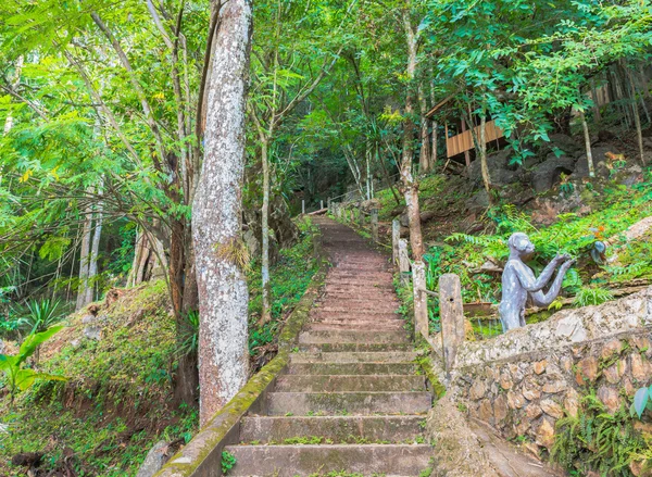 Image of long stairs way to forest destination. — Stock Photo, Image