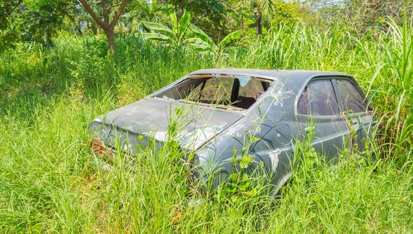 Eski Araba Bush Görüntü — Stok fotoğraf