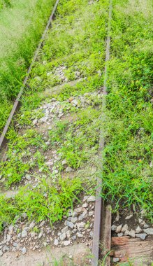 Çiçekler içinde belgili tanımlık geçmiş bir tren Park eski bir tren ile bir grup .