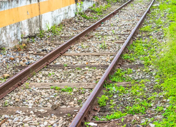 Tren Yolu Spike Ahşap Demiryolu Kravat Kapat — Stok fotoğraf