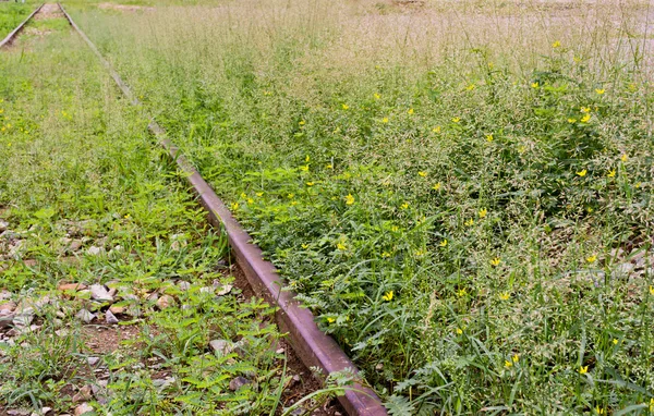 Een Bos Bloemen Met Een Oude Spoorweg Achtergrond Een Spoorlijn — Stockfoto