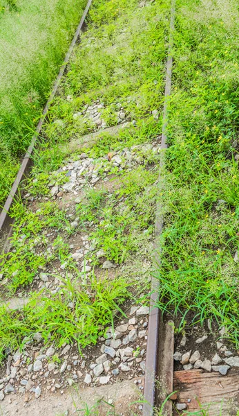 Bunch Flowers Old Railway Background Railway Park — Stock Photo, Image