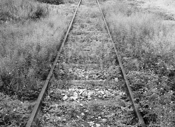 Mazzo Fiori Con Una Vecchia Ferrovia Sullo Sfondo Parco Ferroviario — Foto Stock