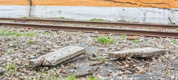 Close Train Track Spike Wooden Railroad Tie — Stock Photo, Image