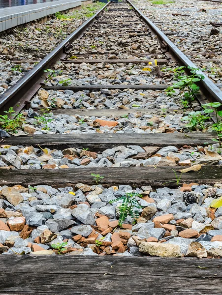 Demiryolu Hatları Seyahat Tren Istasyonu Üzerinden Görüntü — Stok fotoğraf