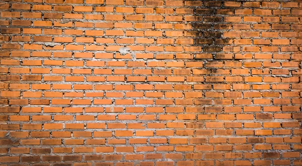 Textura de pared de ladrillo rojo —  Fotos de Stock