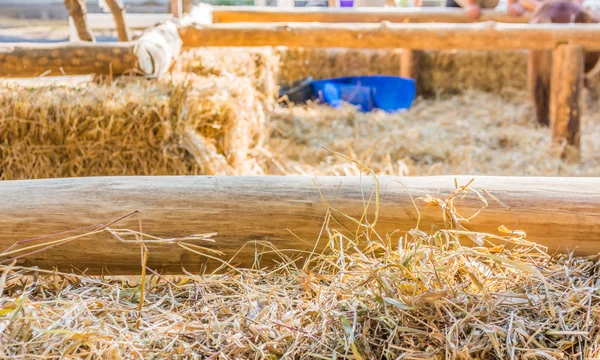Száraz szalma és fából készült kerítés a farm — Stock Fotó