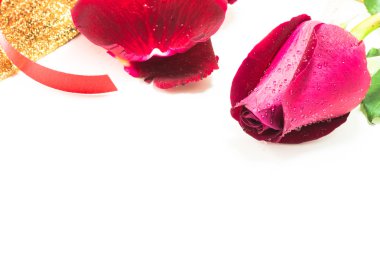 Beyaz arka plan, Sevgililer günü arka plan üzerinde kırmızı gül