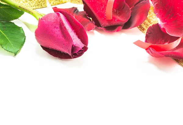 Red rose on white background, Valentines Day background — Stock Photo, Image