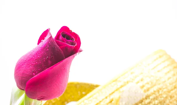 Rosa roja sobre fondo blanco, fondo de San Valentín —  Fotos de Stock