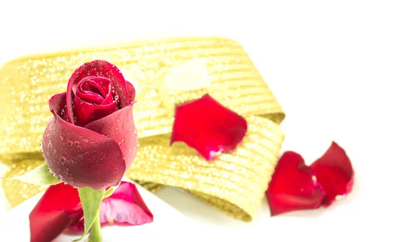 Rosa roja sobre fondo blanco, fondo de San Valentín —  Fotos de Stock