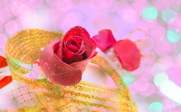 バレンタインデーの背景、白地に赤いバラ — ストック写真