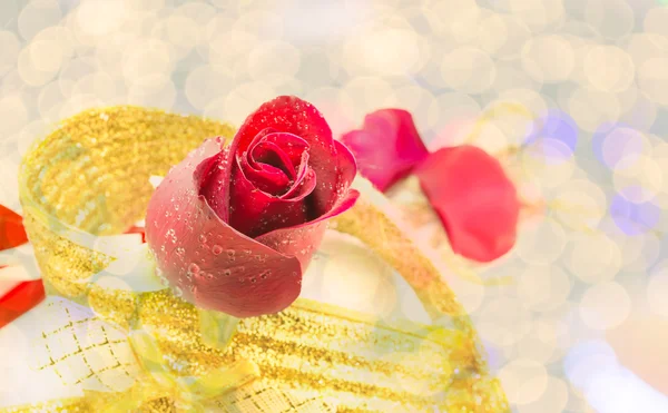 Rosa roja sobre fondo blanco, fondo de San Valentín — Foto de Stock