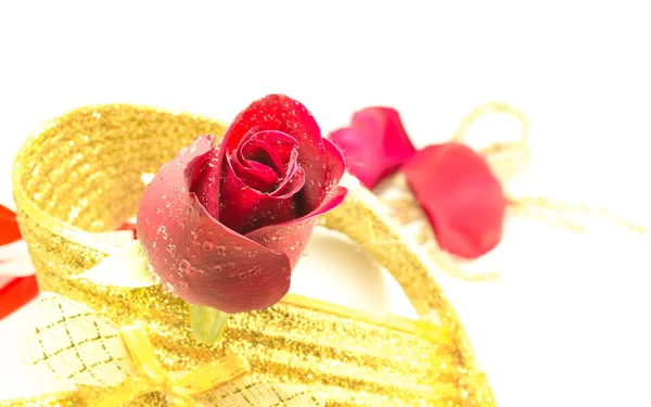 Rosa roja sobre fondo blanco, fondo de San Valentín — Foto de Stock