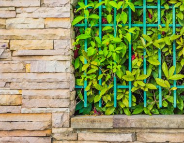 Yeşil yaprakları arka plan ile eski demir çit.