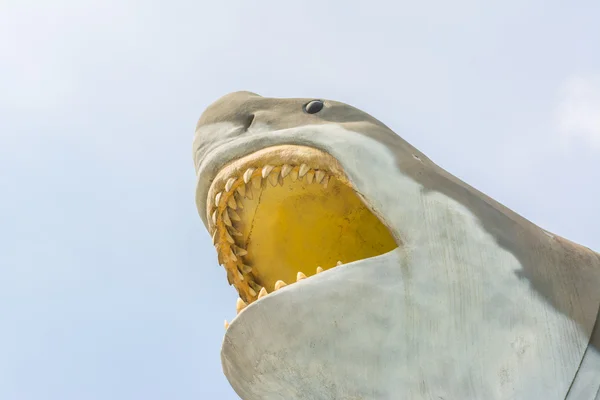 Perto de grande tubarão branco no céu — Fotografia de Stock