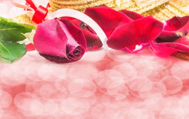 Beyaz arka plan, Sevgililer günü arka plan üzerinde kırmızı gül