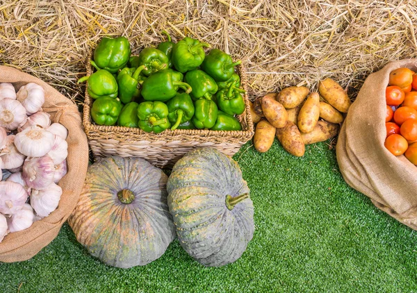 Vitlök, pumpa och chili i korg — Stockfoto