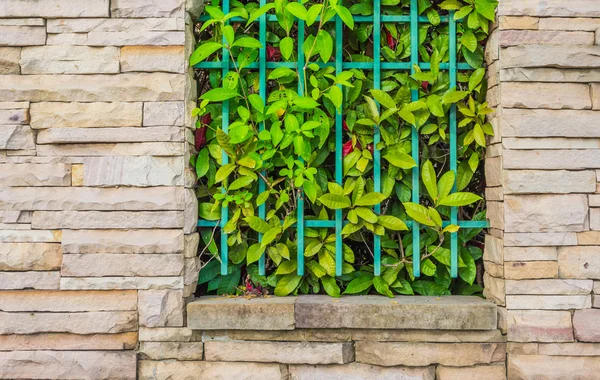 Starý Železný plot s pozadím zelenými listy. — Stock fotografie