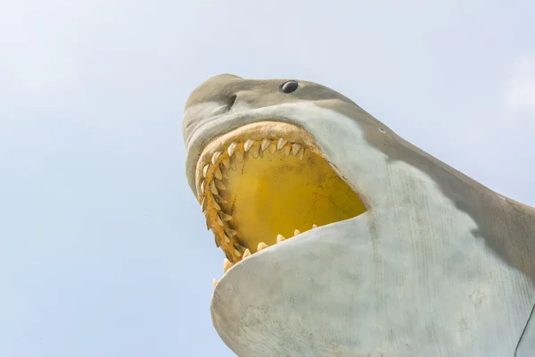 Perto de grande tubarão branco no céu — Fotografia de Stock