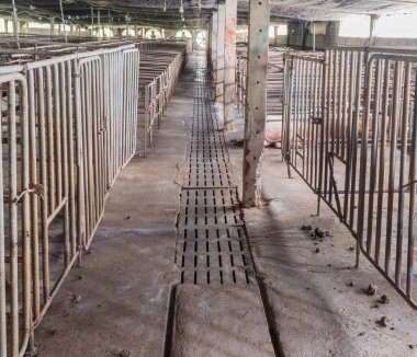 kapalı pis domuz çiftliği paddock ile uzun pozlama görüntü .