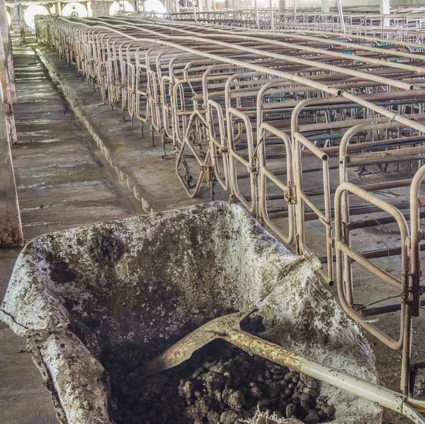 kapalı pis domuz çiftliği paddock ile uzun pozlama görüntü .