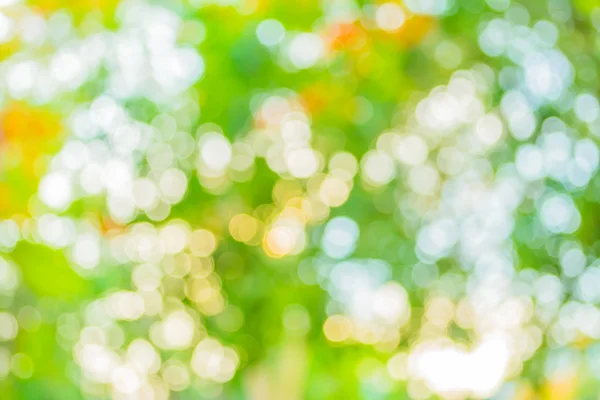 Blur Image Abstract Bokeh Green Tree Color Summer Background Stock Image