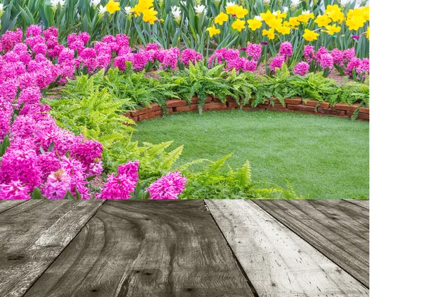 Colorful Flower Park Spring Landscape — Stock Photo, Image