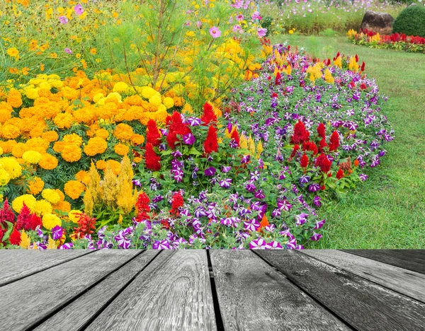 Imagen Pared Fondo Flores Varios Colores —  Fotos de Stock