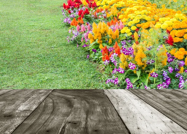 Image Various Color Flower Background Wall — Stock Photo, Image