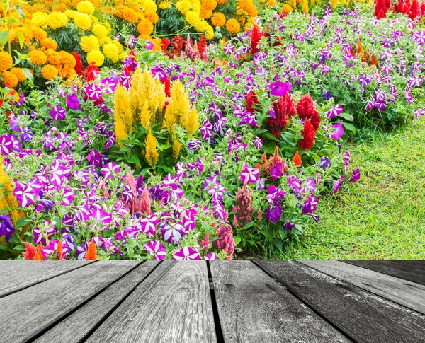 Obrázek Různých Barevných Květin Pozadí Stěny — Stock fotografie