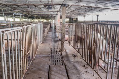 kapalı pis domuz çiftliği paddock ile uzun pozlama görüntü .