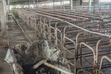 kapalı pis domuz çiftliği paddock ile uzun pozlama görüntü .