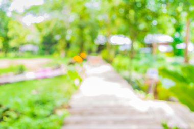 Arkaplan kullanımı için bokeh ile yeşil bahçe için açık alan ile uzun boş koridorun bulanık görüntüsü .