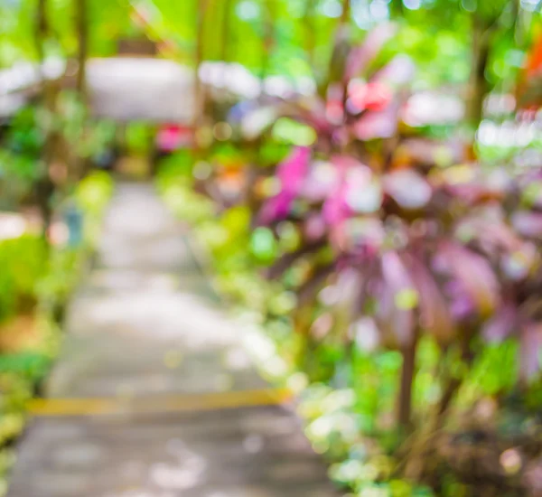 Imagen Borrosa Corredor Largo Vacío Con Espacio Abierto Jardín Verde — Foto de Stock