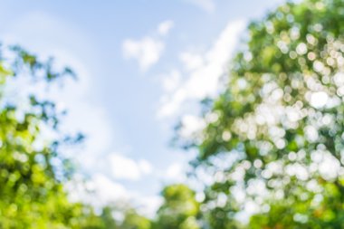 Ağaç yeşili arkaplanının soyut Bokeh 'inin bulanık resmi .