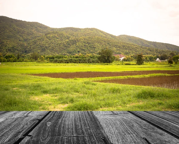 Imagem de campo e céu no fundo — Fotografia de Stock