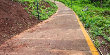 Hill yolda peyzaj ormanlar arasında .