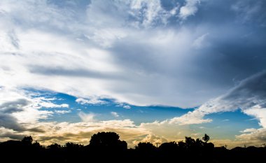 Arkaplanda ağaç ve günbatımı görüntüsü .