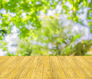 Ağaç yeşili arkaplanının soyut Bokeh 'inin bulanık resmi.