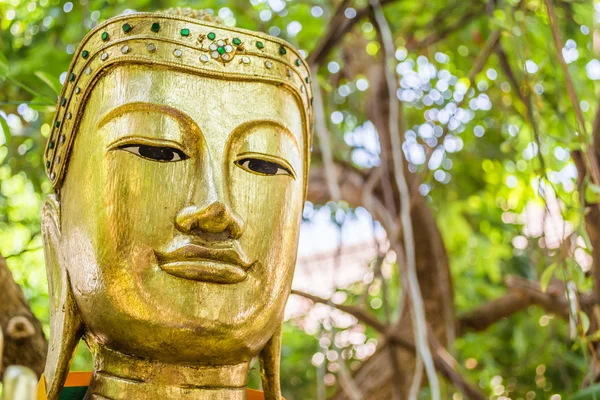 Gamla buddha skulptur under stora gröna trädet — Stockfoto