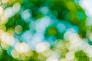 Ağaç yeşili arkaplanının soyut Bokeh 'inin bulanık resmi .