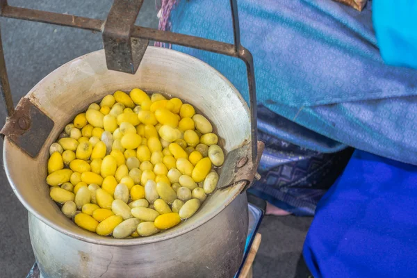 Foto Van Zijde Cocon Warm Ketel — Stockfoto