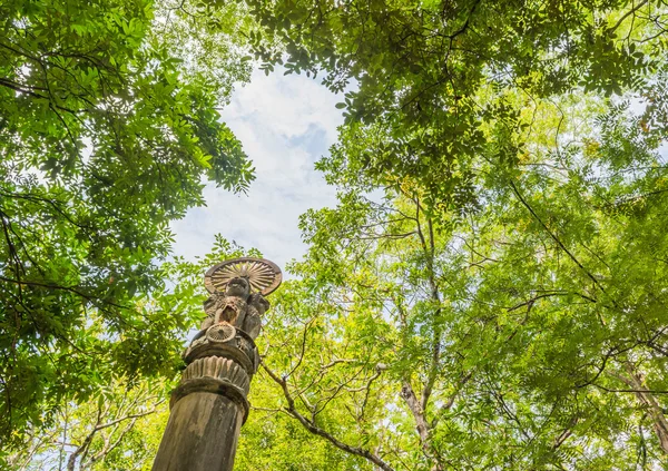 Dharmachakra Erdőben Wat Umong Suan Puthatham Templom Chiang Mai Thaiföld — Stock Fotó