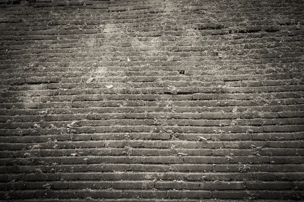 Imagen de la vieja pared musgosa en el tiempo del día — Foto de Stock