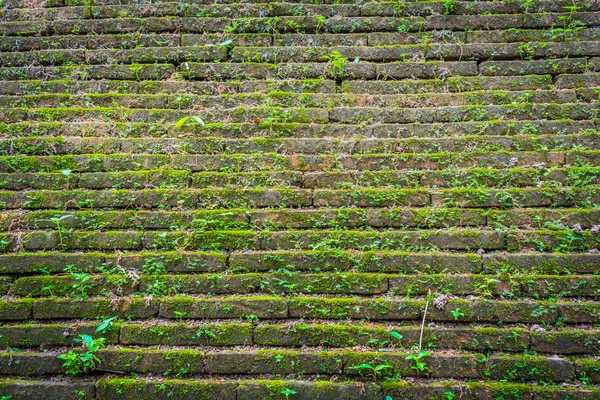 Immagine della vecchia parete muschiata durante il giorno — Foto Stock