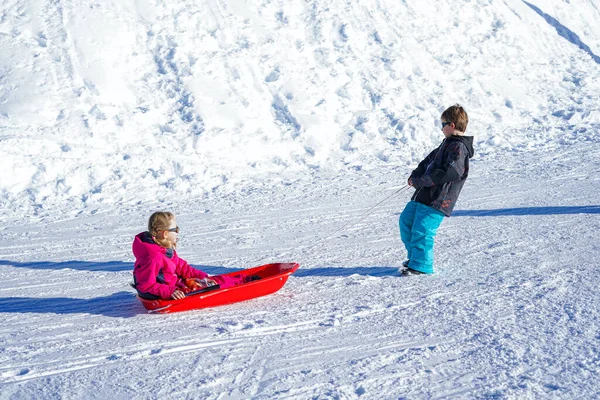 Fratello Tirando Suoi Figli Sorella Slittino Slitta Neve Ragazzina Ragazzo — Foto Stock