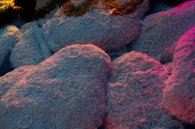 Monte Carlo, Monaco 29.11.2020 Louis Vitton moda butik vitrinlerine yakın çekim güzel bir manzara Noel zamanı dekore edilmiş.