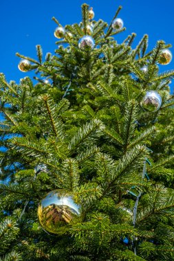 Yılbaşı dekorasyonu, sokakta Noel ağacı süslemesi. Tatil sezonu. Yüksek kalite fotoğraf