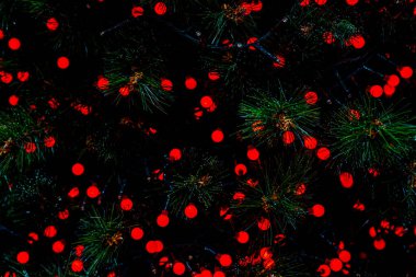 Kırmızı zemin, soyut Bokeh Noeli. Noel, köknar ağacına düşen parlak yıldızlar gibi parlıyordu. Kış kartı ya da davetiye. Yüksek kalite fotoğraf